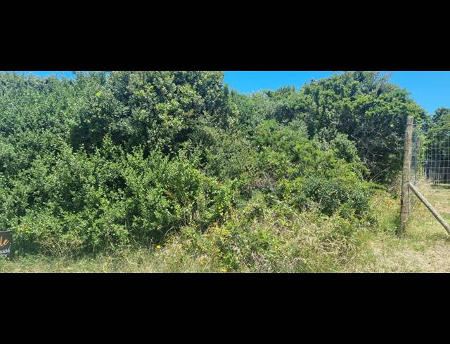 567M² VACANT LAND FOR SALE IN ASTON BAY
